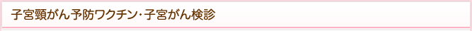 子宮頸がん・予防ワクチン・検診